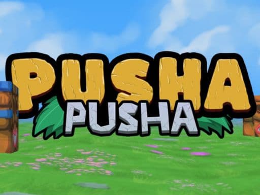 Pusha Pusha thumbnail